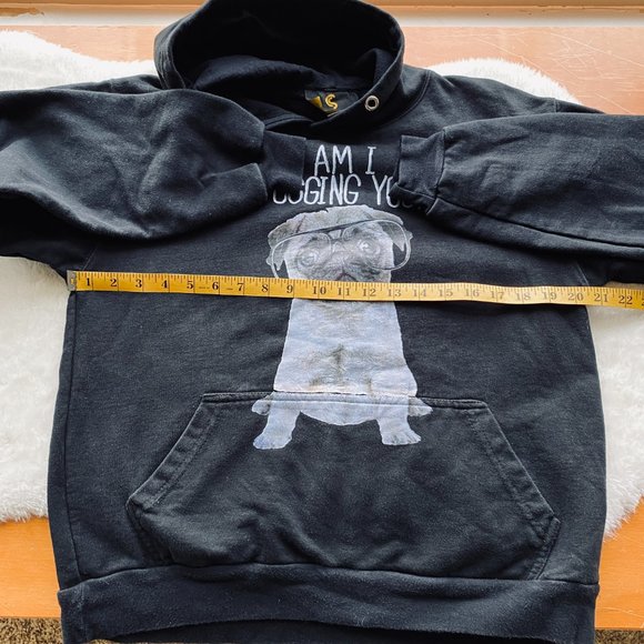 Sweatshirt Hoodie With Pug Dog Graphic Am I Pugging You? - Picture 10 of 15